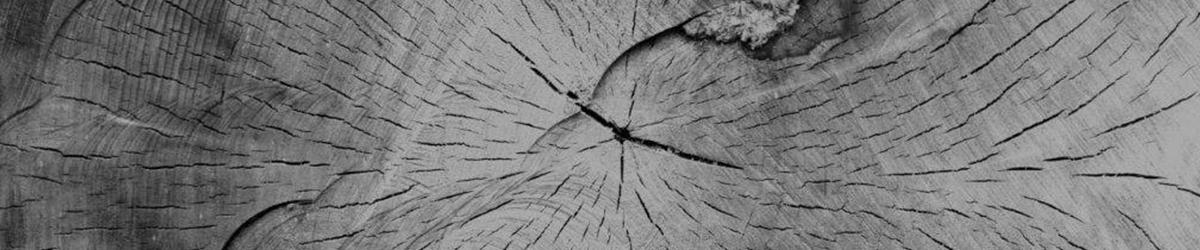Holzscheibe